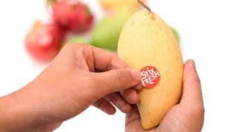 У Малайзії розробили наклейки, що подовжують термін придатності фруктів Рис.1