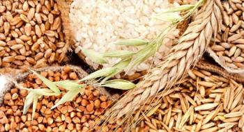 Затверджено Порядок проведення перевірки сертифікатів та підтверджень у разі ввезення та/або вивезення насіння і садивного матеріалу Рис.1