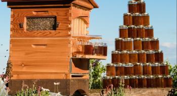 Розробка для бджолярів: вулик, який сам збирає мед Рис.1