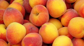 Україна  в травні збільшила імпорт персиків, абрикосів та нектаринів в 1,5 рази  Рис.1