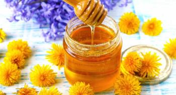 На Херсонщині будуть виробляти органічний мед Рис.1