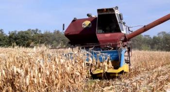 Жнива-2019: В Україні зібрано понад 49 млн тонн зерна Рис.1