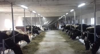На Тернопільщині з'явилися перші сімейні молочні ферми Рис.1