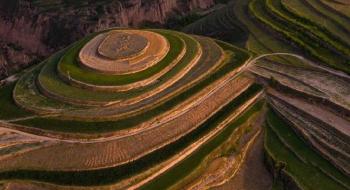 Вирощування пшениці на високогірних плато в Китаї Рис.1