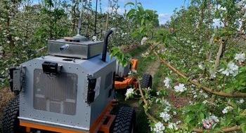 SwarmFarm та Green Atlas розробляють робота для проріджування яблуневих квітів Рис.1