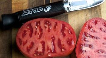 Польські тепличники визначають якість томатів рефрактометром Рис.1