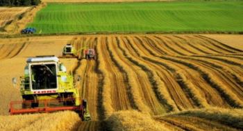 Уряд направив більше півмільярда грн на погашення заборгованості перед аграріями за 2019 рік - Ігор Петрашко Рис.1