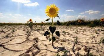 Україна стала світовим лідером за зростанням середньорічної температури Рис.1