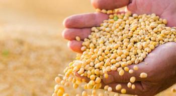 За два десятиліття врожайність сої в Україні зросла вдвічі Рис.1