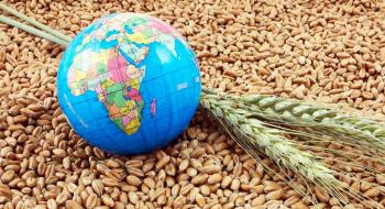 Україна експортувала 4,1 млн тонн зерна нового врожаю  Джерело: Agravery.com Рис.1