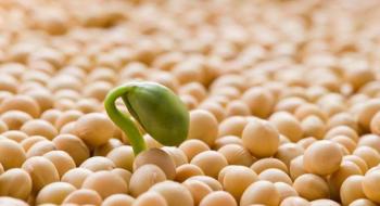 Врожай сої цього року буде на 20-23% нижчим, ніж торік, - прогноз Рис.1