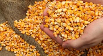 Мінекономіки та учасники зернового ринку узгодили граничний обсяг експорту кукурудзи на 2020/2021 МР Рис.1