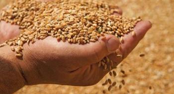 Напередодні виходу звіту USDA ціни на пшеницю продовжують зростати Рис.1