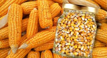 Несподівано звіт USDA опустив ціни на кукурудзу Рис.1