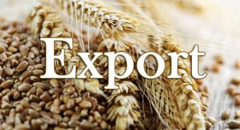 Експорт українських зернових та зернобобових перевищив 33 млн тонн Рис.1