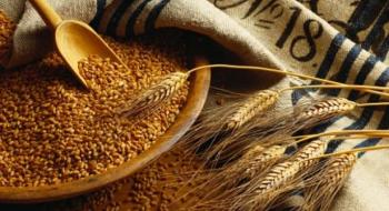 Україна відправила на експорт майже 35 млн тонн зерна Рис.1