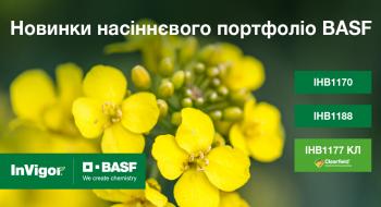 BASF виводить на ринок нові гібриди озимого ріпаку Рис.1