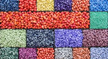 В Україні протруєно 309 тис. тонн насіння: забезпеченість аграріїв ЗЗР Рис.1
