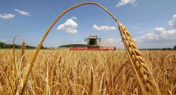 Експерти USDA значно знизили баланс світового попиту і пропозиції пшениці в 2021/22 МР Рис.1