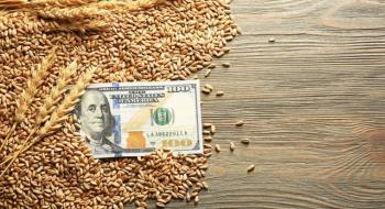 Закупівельні ціни на пшеницю в Україні відновили зростання Рис.1