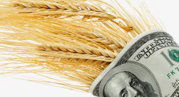 Аграрний фонд розпочинає закупати зерна врожаю-2022 Рис.1