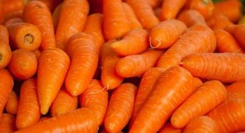 Саморобне обладнання для миття моркви вигадали фермери з Херсонщини Рис.1