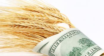 Закупівельні ціни на пшеницю в портах України прискорили падіння Рис.1