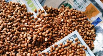 В Україні рекордно зросла ціна на гречку Рис.1
