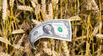 В Україні зросли закупівельні ціни на продовольчу пшеницю Рис.1