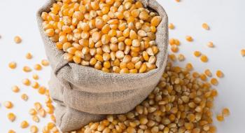 З України експортували понад 16 млн тонн кукурудзи Рис.1