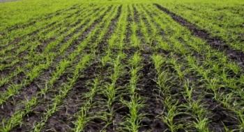 На Одещині засіяли яровими зерновими вже понад 22 тисячі гектарів Рис.1