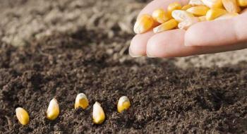 USDA очікує скорочення площ сівби кукурудзи та збільшення площ сівби сої у США Рис.1