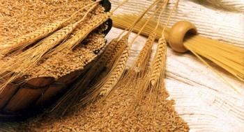 Україна активізує експорт зерна і у травні вже відвантажила 300 тис т Рис.1