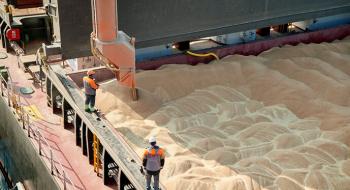 Прогресу в переговорах щодо експорту зерна поки немає,- Зеленський Рис.1