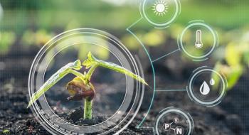 Система ШІ полегшує візуалізацію рослин від проростання до розвитку коріння Рис.1