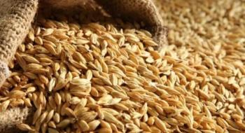 Уряди ЄС розглянуть можливість надання Україні тимчасових сховищ для зернових Рис.1