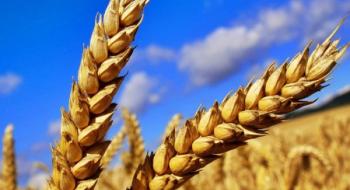 Агропідприємства України щомісяця недоотримують $760 млн Рис.1