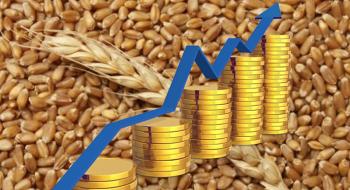 Українська пшениця до нового року може здорожчати до 400 $/т Рис.1