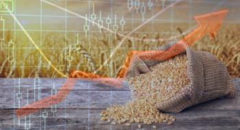 Сильні різдвяні морози у США призвели до спекулятивного зростання цін на пшеницю Рис.1