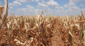Посуха в Аргентині матиме великий вплив на сільськогосподарське виробництво, - огляд іноземних ЗМІ за 14-16.01.2023 Рис.1