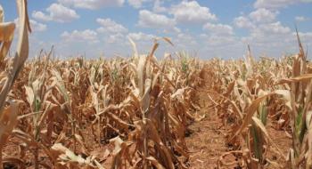 Погодні фактори в Південній Америці: посуха в Аргентині та надлишкові опади в Бразилії впливають на ринки Рис.1