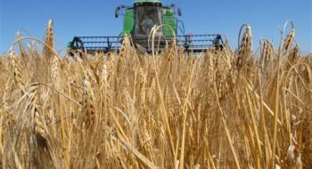 Зниження прогнозу урожаю в ЄС призводить до зростання цін на європейське зерно Рис.1