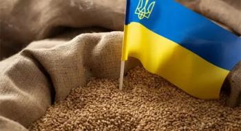 Брак зерносховищ і падіння цін: чим загрожує продовження заборони українського зерна в ЄС Рис.1