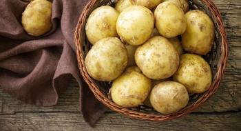 Генасамблея ООН може затвердити нове свято – Всесвітній день картоплі Рис.1