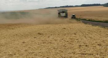 Урожайність зернових і зернобобових на Поділлі наразі нижча від минулорічної Рис.1