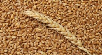 На Полтавщині вирощуватимуть органічне зерно Рис.1
