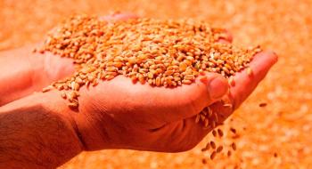 Як змінився експорт українських зернових Рис.1
