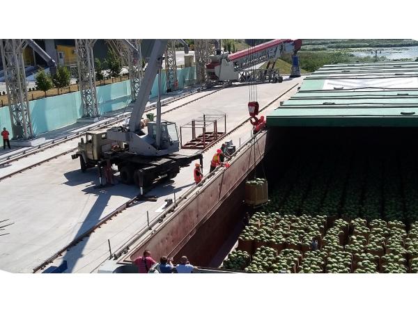400 тонн херсонських кавунів: на Київщині розвантажили баржу Нібулона Рис.2