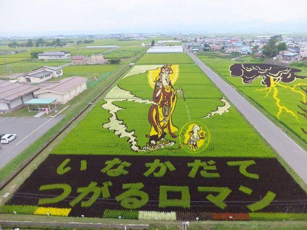 Талановиті фермери Японії: приголомшливі картини на рисових полях Рис.6