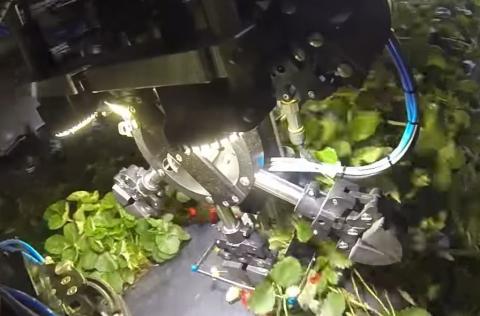 У США створили роботів для збору полуниці Рис.1